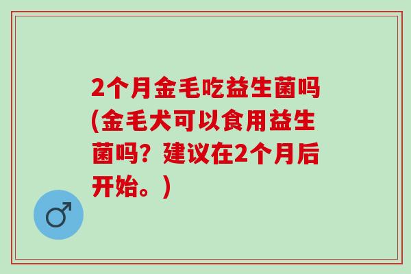 2个月金毛吃益生菌吗(金毛犬可以食用益生菌吗？建议在2个月后开始。)