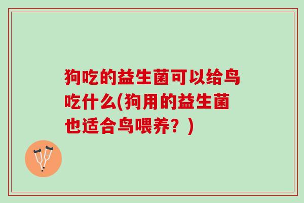 狗吃的益生菌可以给鸟吃什么(狗用的益生菌也适合鸟喂养？)