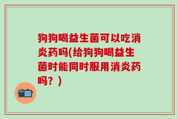 狗狗喝益生菌可以吃消炎药吗(给狗狗喝益生菌时能同时服用消炎药吗？)