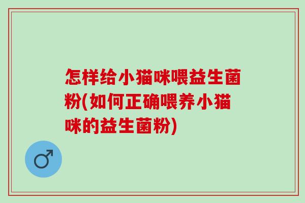 怎样给小猫咪喂益生菌粉(如何正确喂养小猫咪的益生菌粉)