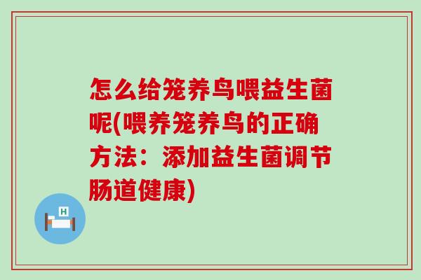 怎么给笼养鸟喂益生菌呢(喂养笼养鸟的正确方法：添加益生菌调节肠道健康)