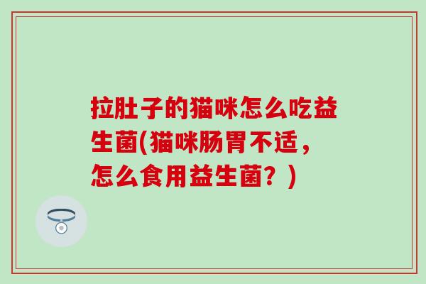 拉肚子的猫咪怎么吃益生菌(猫咪肠胃不适，怎么食用益生菌？)