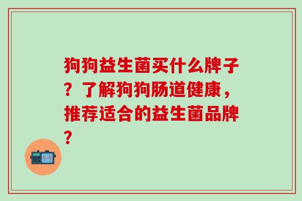 狗狗益生菌买什么牌子？了解狗狗肠道健康，推荐适合的益生菌品牌？