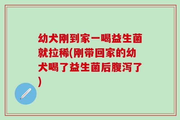 幼犬刚到家一喝益生菌就拉稀(刚带回家的幼犬喝了益生菌后腹泻了)