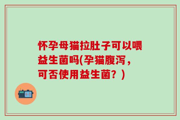 怀孕母猫拉肚子可以喂益生菌吗(孕猫腹泻，可否使用益生菌？)