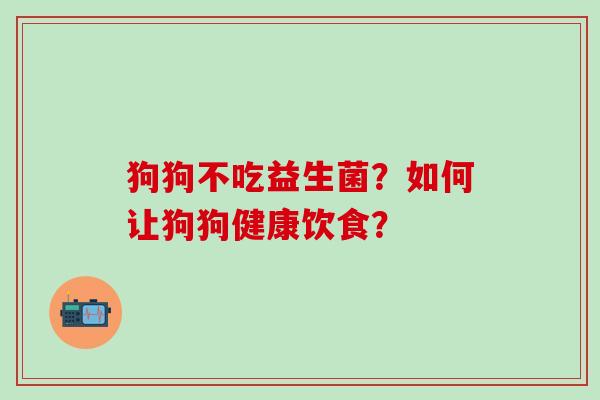 狗狗不吃益生菌？如何让狗狗健康饮食？