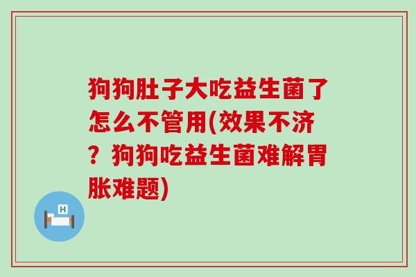 狗狗肚子大吃益生菌了怎么不管用(效果不济？狗狗吃益生菌难解胃胀难题)