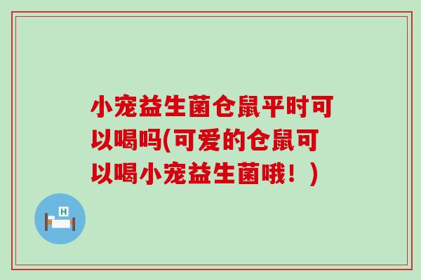 小宠益生菌仓鼠平时可以喝吗(可爱的仓鼠可以喝小宠益生菌哦！)
