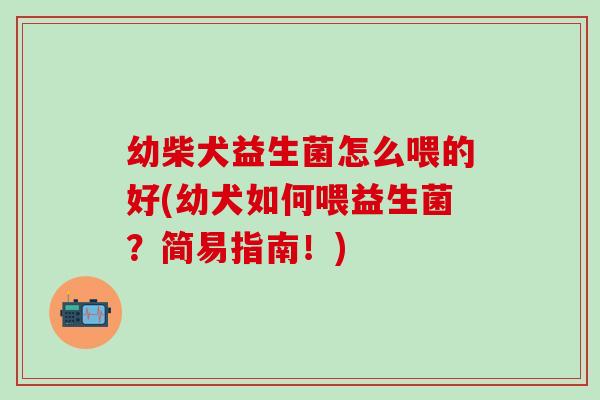 幼柴犬益生菌怎么喂的好(幼犬如何喂益生菌?简易指南!) 幼柴犬益生菌怎么喂的好(幼犬如何喂益生菌?简易指南!)