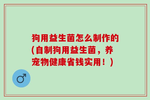狗用益生菌怎么制作的(自制狗用益生菌，养宠物健康省钱实用！)