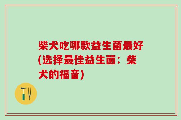 柴犬吃哪款益生菌最好(选择最佳益生菌：柴犬的福音)