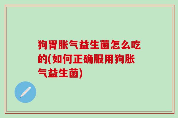 狗胃益生菌怎么吃的(如何正确服用狗益生菌) 狗胃益生菌怎么吃的(如何正确服用狗益生菌)