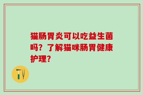 猫肠胃炎可以吃益生菌吗？了解猫咪肠胃健康护理？