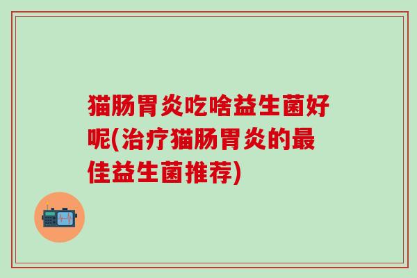 猫肠胃炎吃啥益生菌好呢(治疗猫肠胃炎的最佳益生菌推荐)