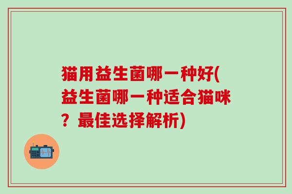 猫用益生菌哪一种好(益生菌哪一种适合猫咪？佳选择解析)