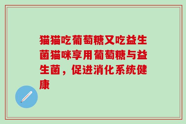 猫猫吃葡萄糖又吃益生菌猫咪享用葡萄糖与益生菌，促进消化系统健康