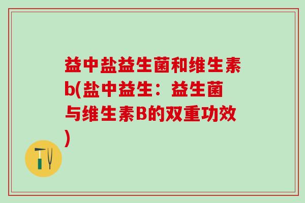 益中盐益生菌和维生素b(盐中益生：益生菌与维生素B的双重功效)