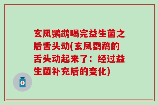 玄凤鹦鹉喝完益生菌之后舌头动(玄凤鹦鹉的舌头动起来了:经过益生菌补充后的变化) 玄凤鹦鹉喝完益生菌之后舌头动(玄凤鹦鹉的舌头动起来了:经过益生菌补充后的变化)