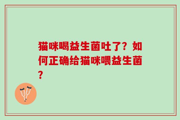 猫咪喝益生菌吐了？如何正确给猫咪喂益生菌？