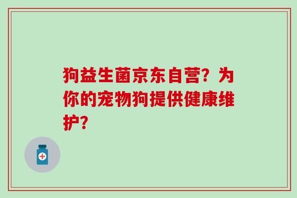 狗益生菌京东自营？为你的宠物狗提供健康维护？