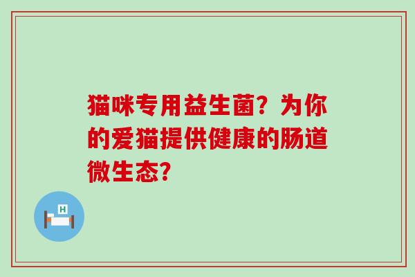 猫咪专用益生菌？为你的爱猫提供健康的肠道微生态？
