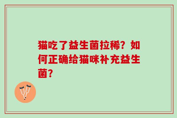猫吃了益生菌拉稀？如何正确给猫咪补充益生菌？