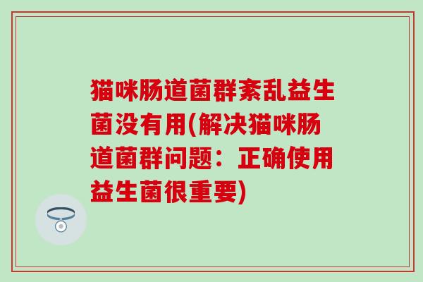 猫咪肠道菌群紊乱益生菌没有用(解决猫咪肠道菌群问题：正确使用益生菌很重要)
