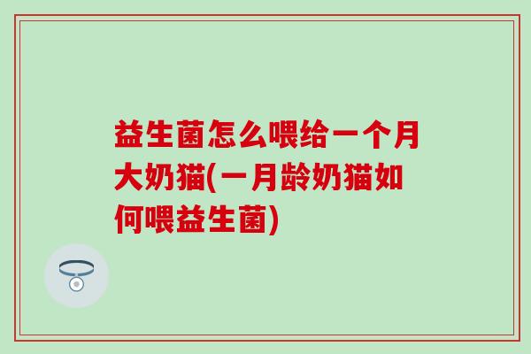 益生菌怎么喂给一个月大奶猫(一月龄奶猫如何喂益生菌)