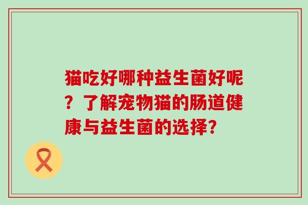 猫吃好哪种益生菌好呢？了解宠物猫的肠道健康与益生菌的选择？