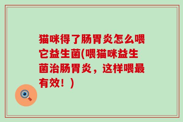 猫咪得了肠怎么喂它益生菌(喂猫咪益生菌肠,这样喂有效!) 猫咪得了肠怎么喂它益生菌(喂猫咪益生菌肠,这样喂有效!)