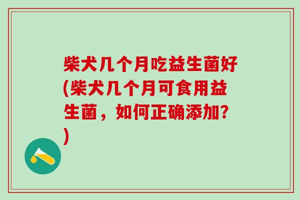 柴犬几个月吃益生菌好(柴犬几个月可食用益生菌，如何正确添加？)
