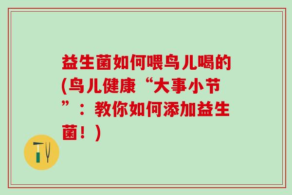 益生菌如何喂鸟儿喝的(鸟儿健康“大事小节”：教你如何添加益生菌！)