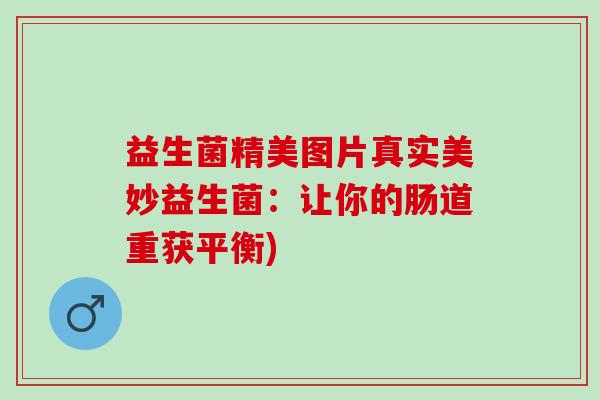 益生菌精美图片真实美妙益生菌：让你的肠道重获平衡)