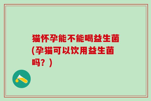 猫怀孕能不能喝益生菌(孕猫可以饮用益生菌吗？)