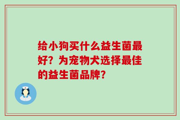 给小狗买什么益生菌最好？为宠物犬选择最佳的益生菌品牌？