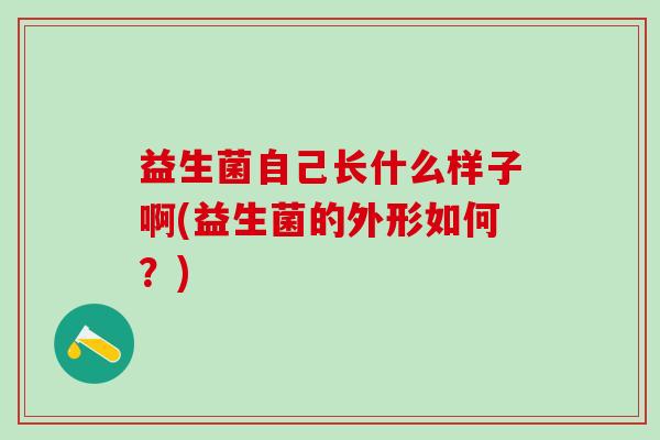 益生菌自己长什么样子啊(益生菌的外形如何？)