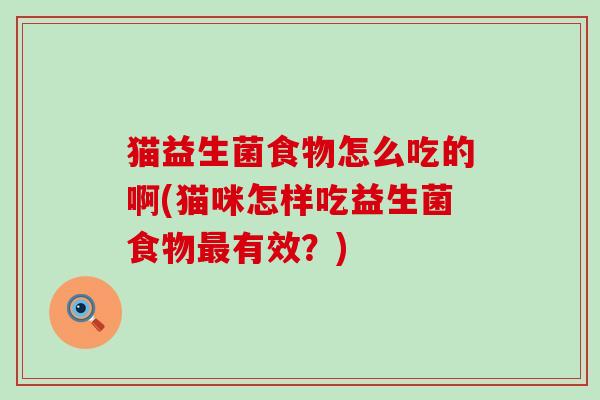 猫益生菌食物怎么吃的啊(猫咪怎样吃益生菌食物最有效？)