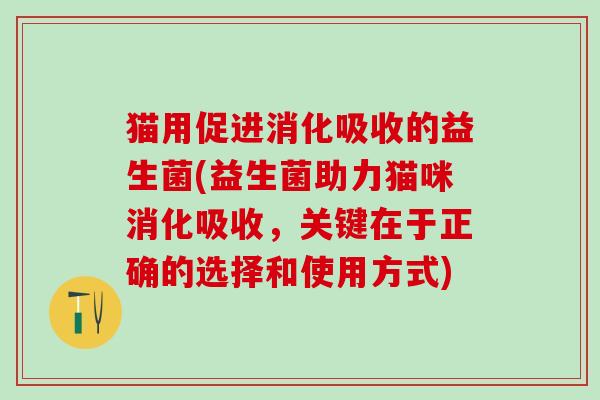猫用促进消化吸收的益生菌(益生菌助力猫咪消化吸收，关键在于正确的选择和使用方式)
