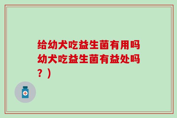 给幼犬吃益生菌有用吗幼犬吃益生菌有益处吗？)