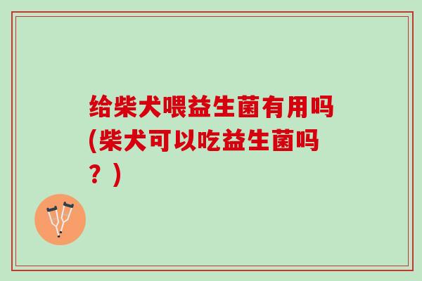 给柴犬喂益生菌有用吗(柴犬可以吃益生菌吗？)