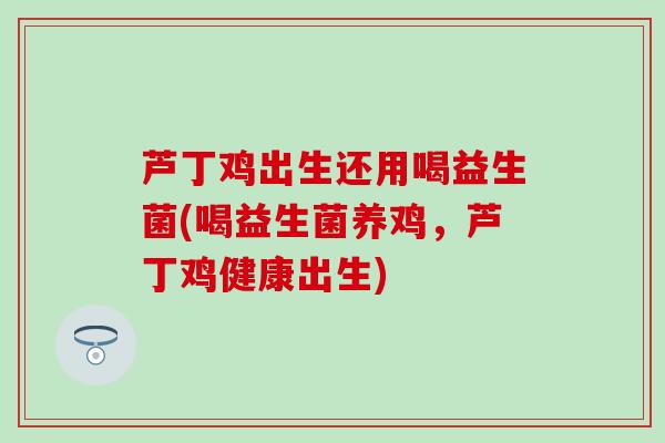 芦丁鸡出生还用喝益生菌(喝益生菌养鸡，芦丁鸡健康出生)