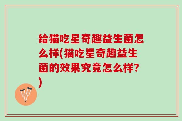 给猫吃星奇趣益生菌怎么样(猫吃星奇趣益生菌的效果究竟怎么样？)