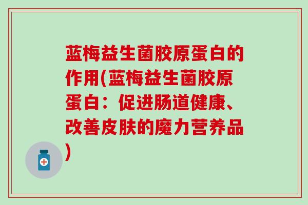 蓝梅益生菌胶原蛋白的作用(蓝梅益生菌胶原蛋白:促进肠道健康、改善的魔力营养品) 蓝梅益生菌胶原蛋白的作用(蓝梅益生菌胶原蛋白:促进肠道健康、改善的魔力营养品)