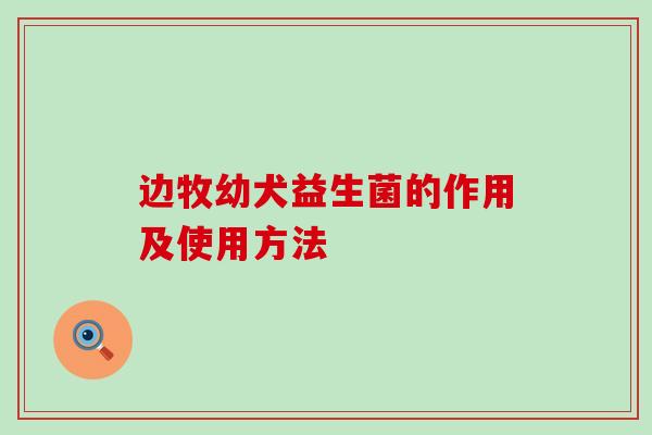边牧幼犬益生菌的作用及使用方法 边牧幼犬益生菌的作用及使用方法