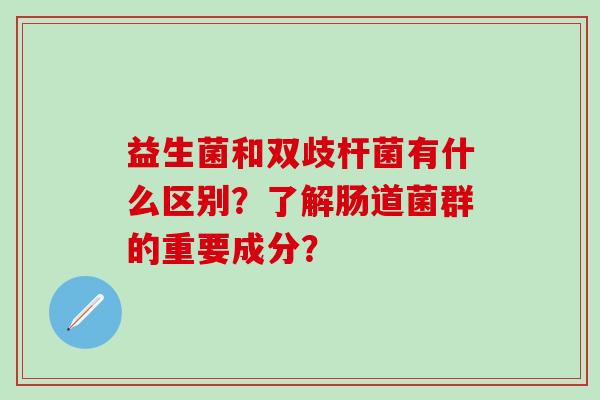 益生菌和双歧杆菌有什么区别？了解肠道菌群的重要成分？