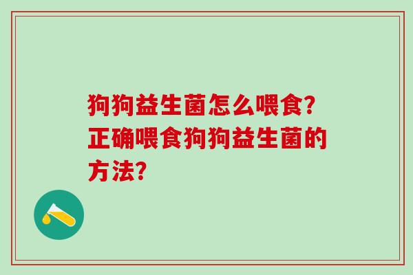 狗狗益生菌怎么喂食？正确喂食狗狗益生菌的方法？