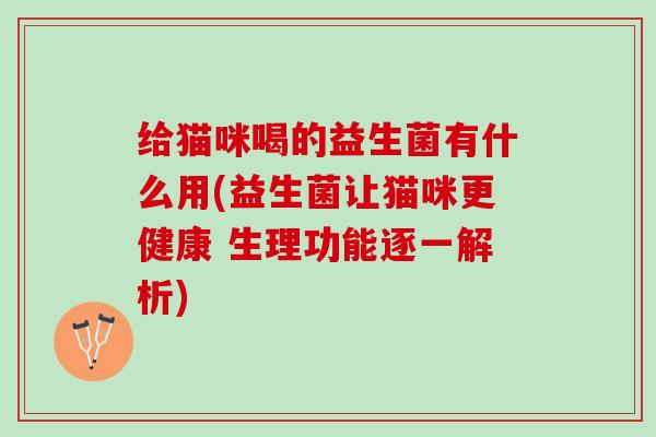 给猫咪喝的益生菌有什么用(益生菌让猫咪更健康 生理功能逐一解析)