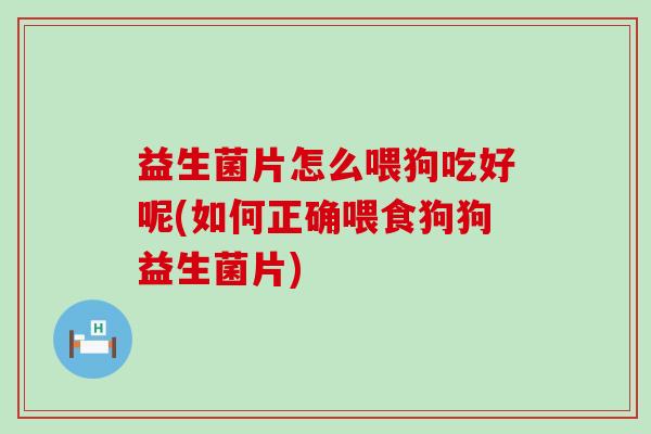 益生菌片怎么喂狗吃好呢(如何正确喂食狗狗益生菌片)