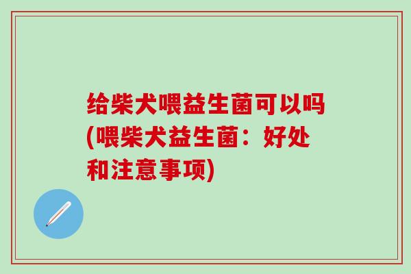 给柴犬喂益生菌可以吗(喂柴犬益生菌：好处和注意事项)