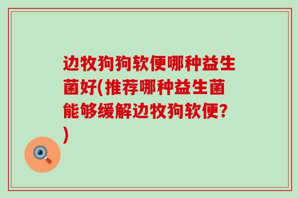 边牧狗狗软便哪种益生菌好(推荐哪种益生菌能够缓解边牧狗软便？)